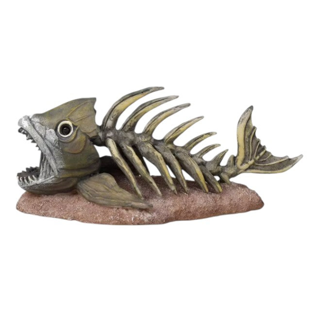 fish skeleton accessory for aquarium Carefree King and Queen Decor Tank Halloween Skull Ornament Bubbler Ornament A Crazy Underwater Song and Dance Drama No Paint 5.9Inch : Pet Supplies quality stone which is safe for fish and for all types of aquariums and vivarium Haunted Living 5.1-in Tabletop Skeleton