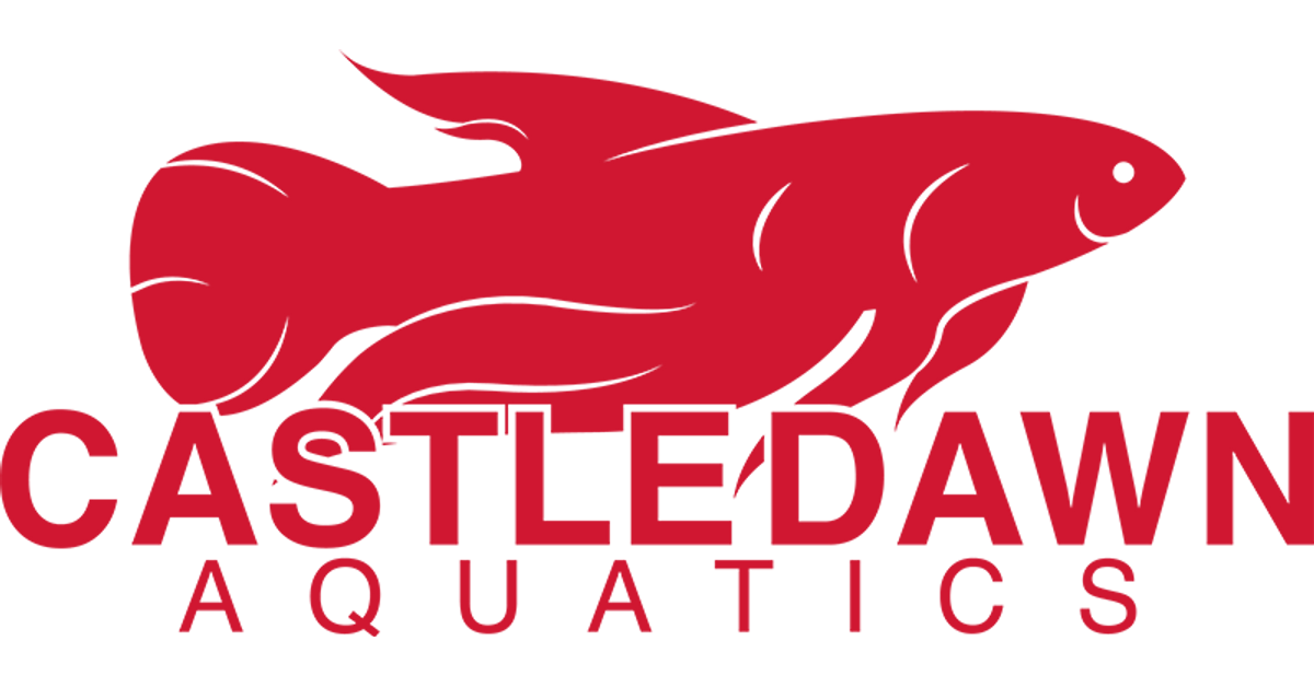 Castle Dawn Aquatics Wholesale Aquatic Supplies White Labelling