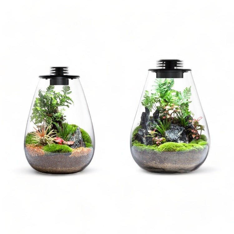 plantes terrarium Tear Drop BIOLOARK Vivarium Paludarium Terrarium LED (SD-175 / SD-200) SD-200