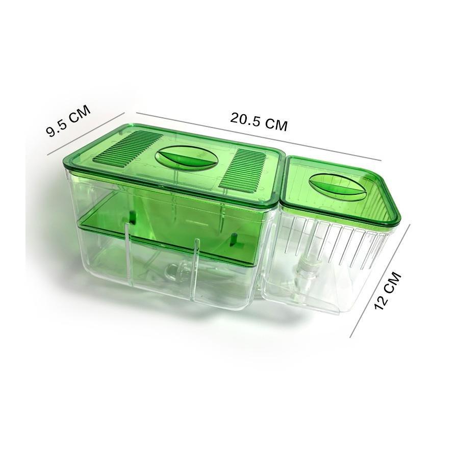 Aquarium Automatic Fry Nursery Tank Breeder Box Castle Dawn Aquatics