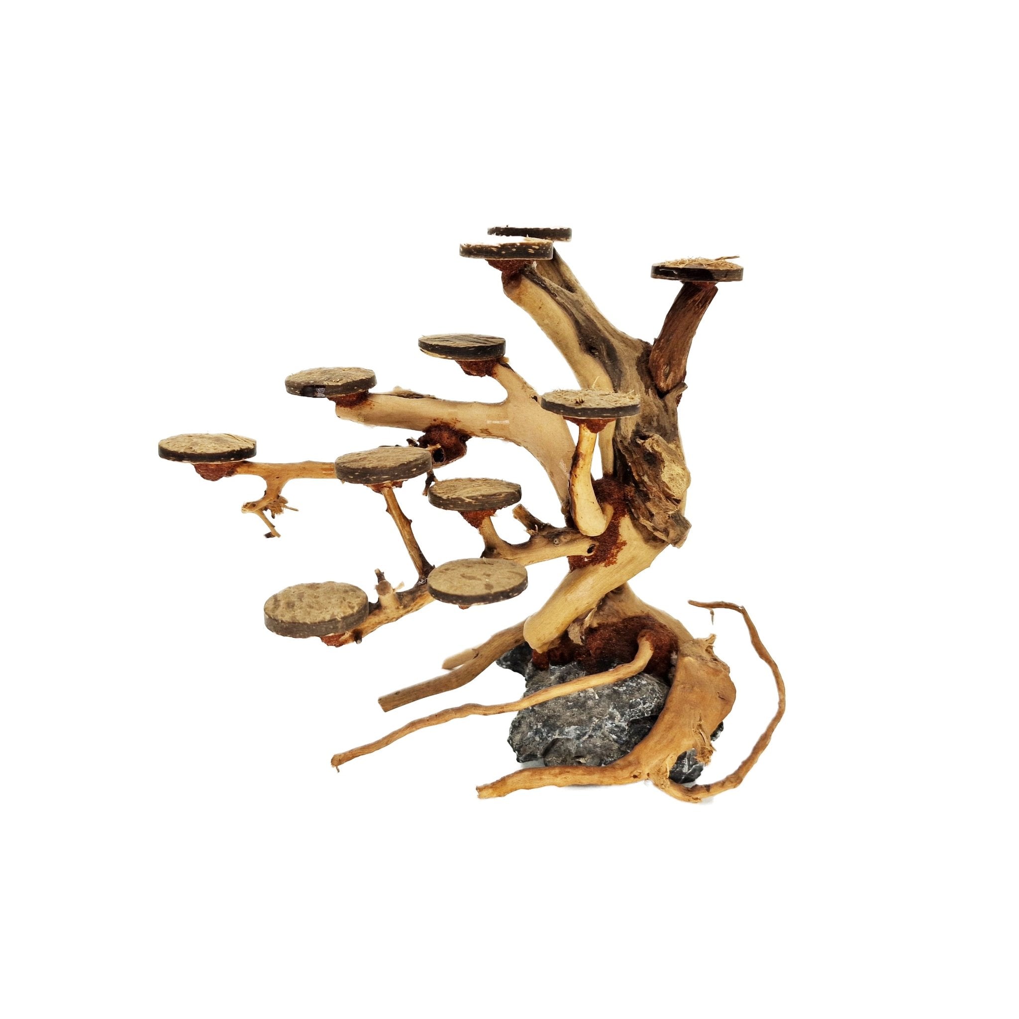 small aquarium bonsai tree Aquarium Bonsai Tree ''Alone'' Driftwood - Small
