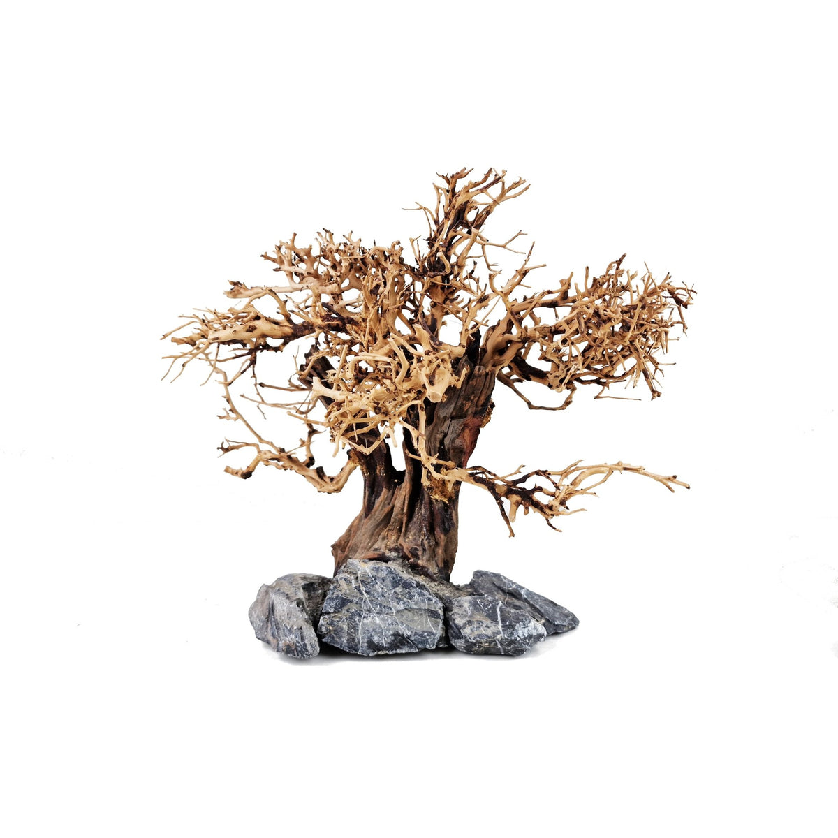 WYSIWYG Aquarium Fish Tank Driftwood Bonsai Tree Medium Castle