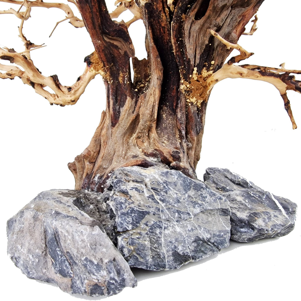 WYSIWYG Aquarium Fish Tank Driftwood Bonsai Tree Medium Castle