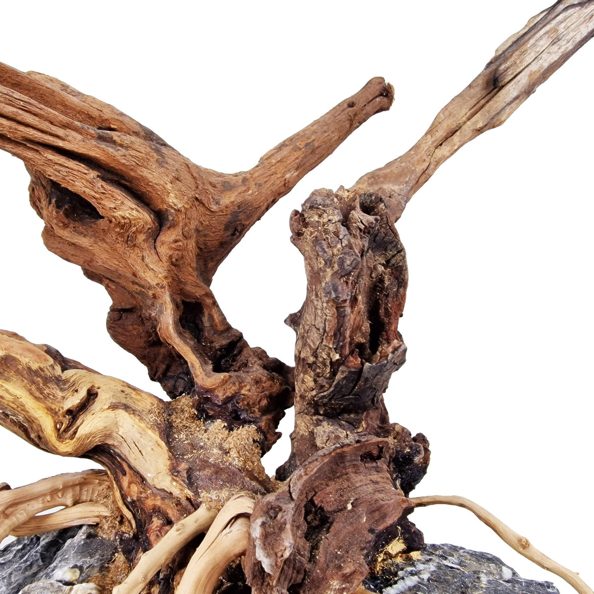 WYSIWYG Hardscape Aquarium Fish Tank Driftwood Bonsai Tree Large Castle Dawn Aquatics