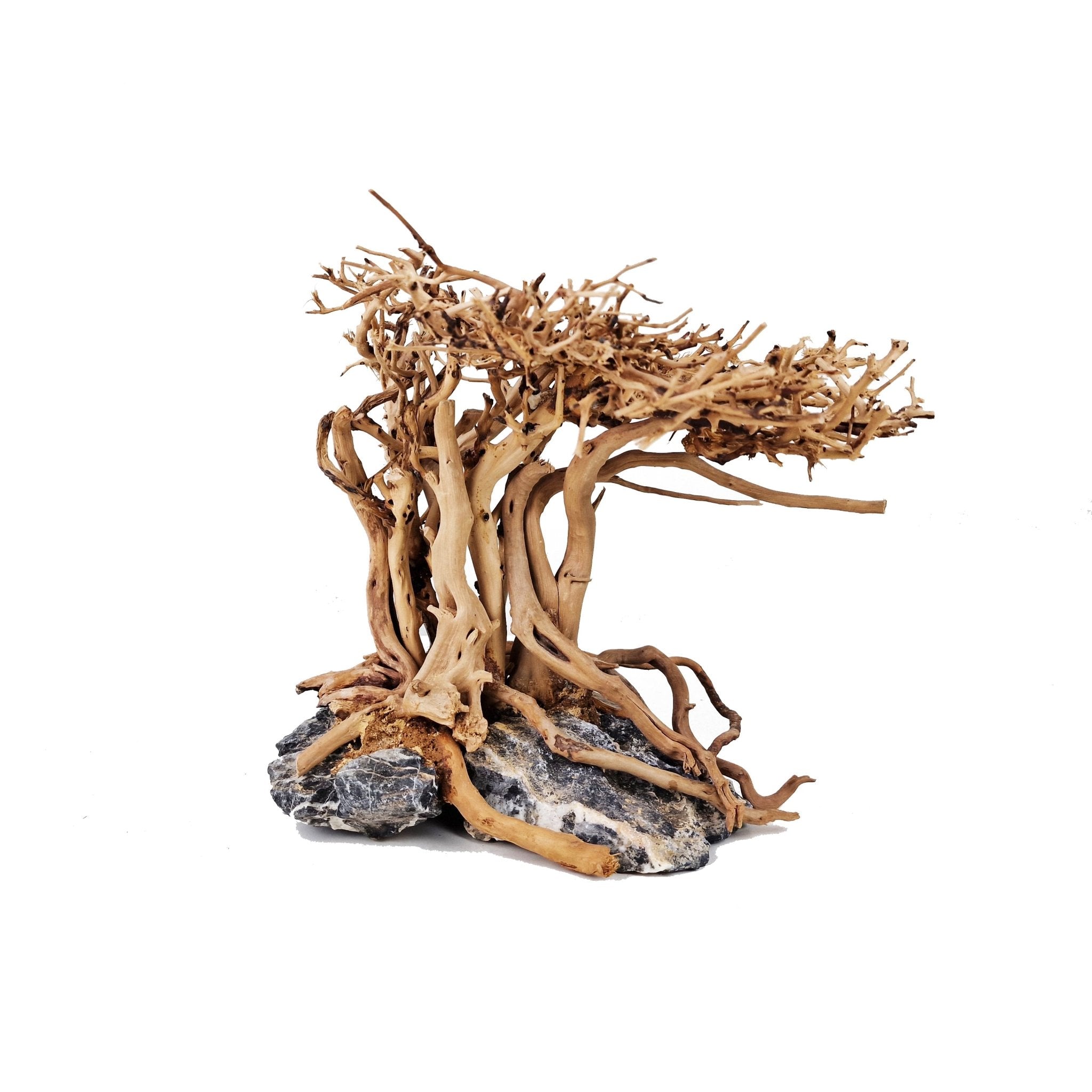 bonsai driftwood tree Aquarium Driftwood ''Tree of Life'' Bonsai Tree - Medium