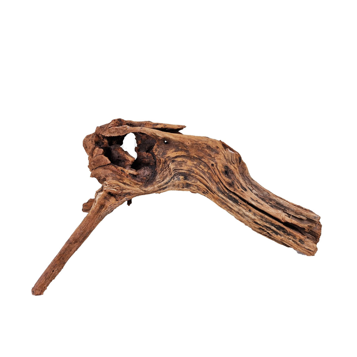 WYSIWYG Hardscape Aquarium Fish Tank Hand Selected Driftwood Large