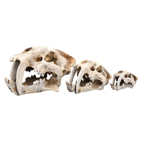 Sabre-Tooth Tiger Skull Aquarium Decoration – (Multiple Sizes)