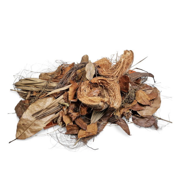 Betta mahachai blackwater biotope botanical pack inspired by Samut Sakhon Thailand for aquariums