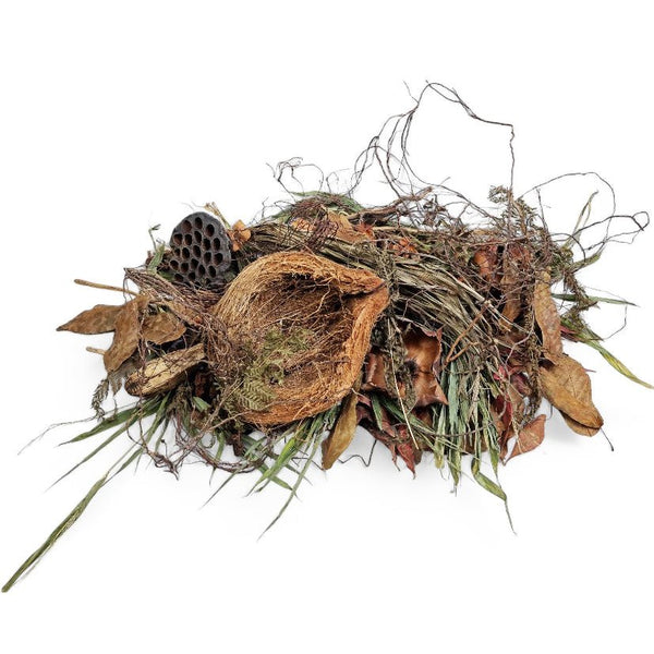 Betta smaragdina blackwater biotope botanical pack for Thai aquarium habitats