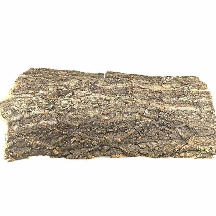 DIY Natural Champagne Cork Bark - Castle Dawn Aquatics