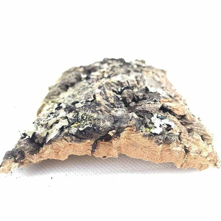 DIY Natural Champagne Cork Bark - Castle Dawn Aquatics
