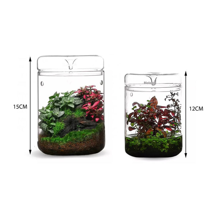 Micro Terrariums BIOLOARK MY-150H -120H Series - Castle Dawn Aquatics