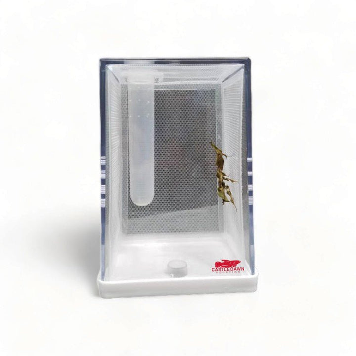 Micro Vivarium Acrylic & Inner Mesh Habitat Enclosure - Castle Dawn Aquatics
