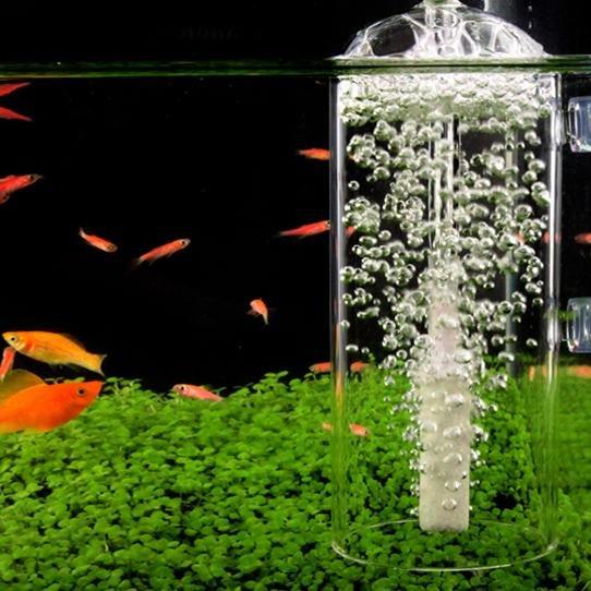 fish tank water flow accessories Glass Air Bell Oxygen Diffuser Low Current Betta & Guppy Tank Aeration