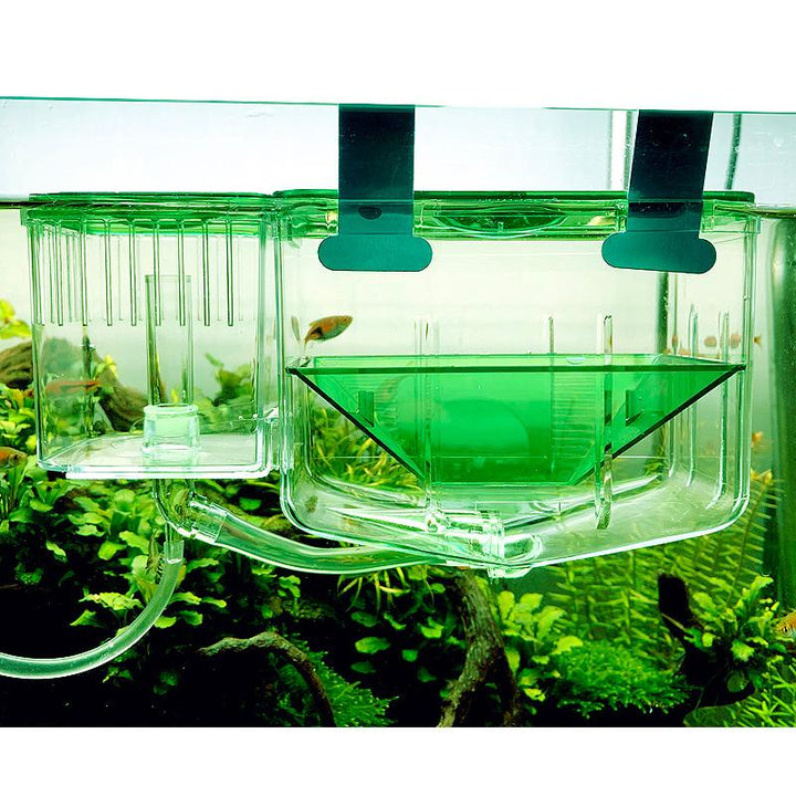 breede0r box dustins fish tanks Aquarium Automatic Fry Nursery Tank Breeder Box