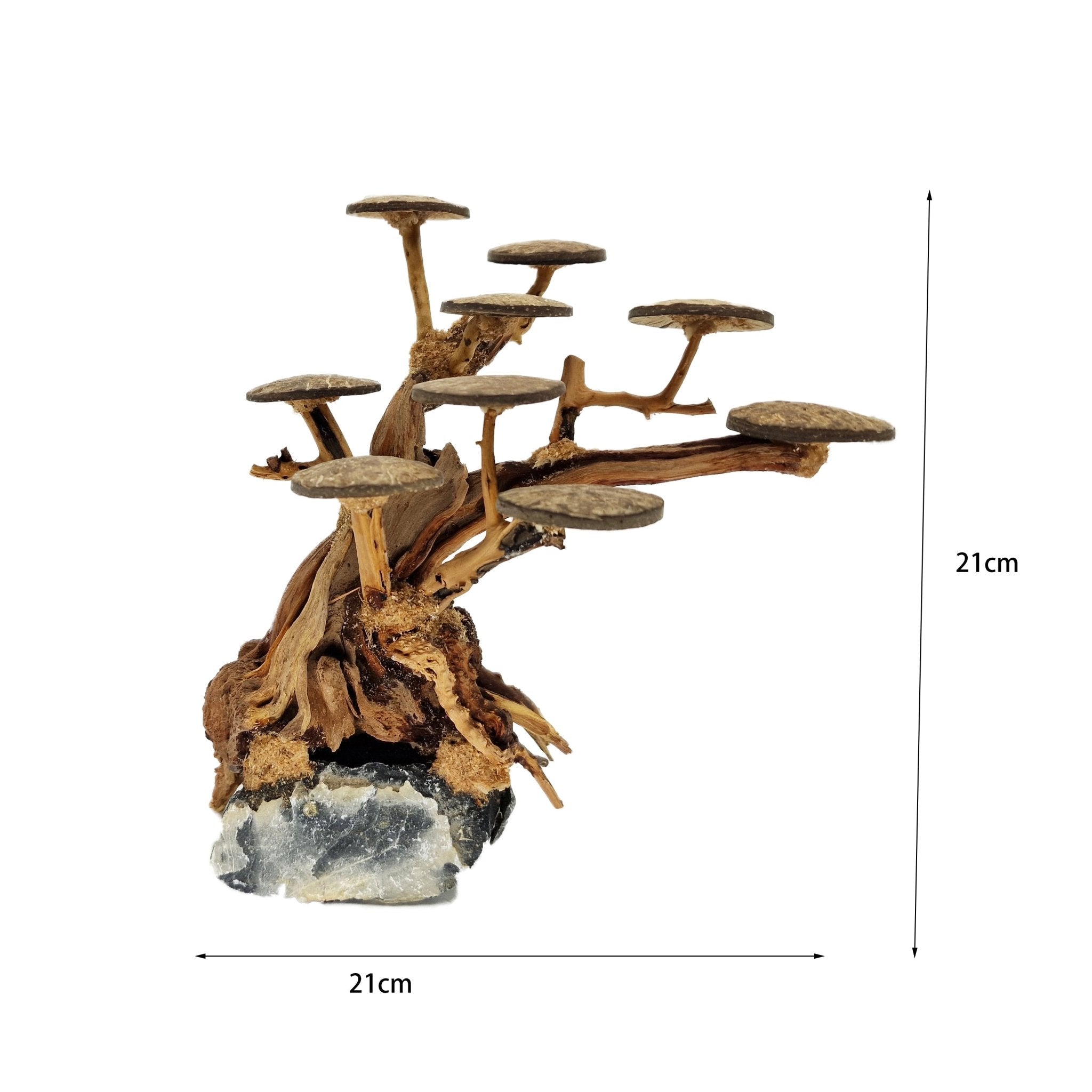 Aquarium Bonsai Tree ''Elm'' Driftwood - Medium - Castle Dawn Aquatics