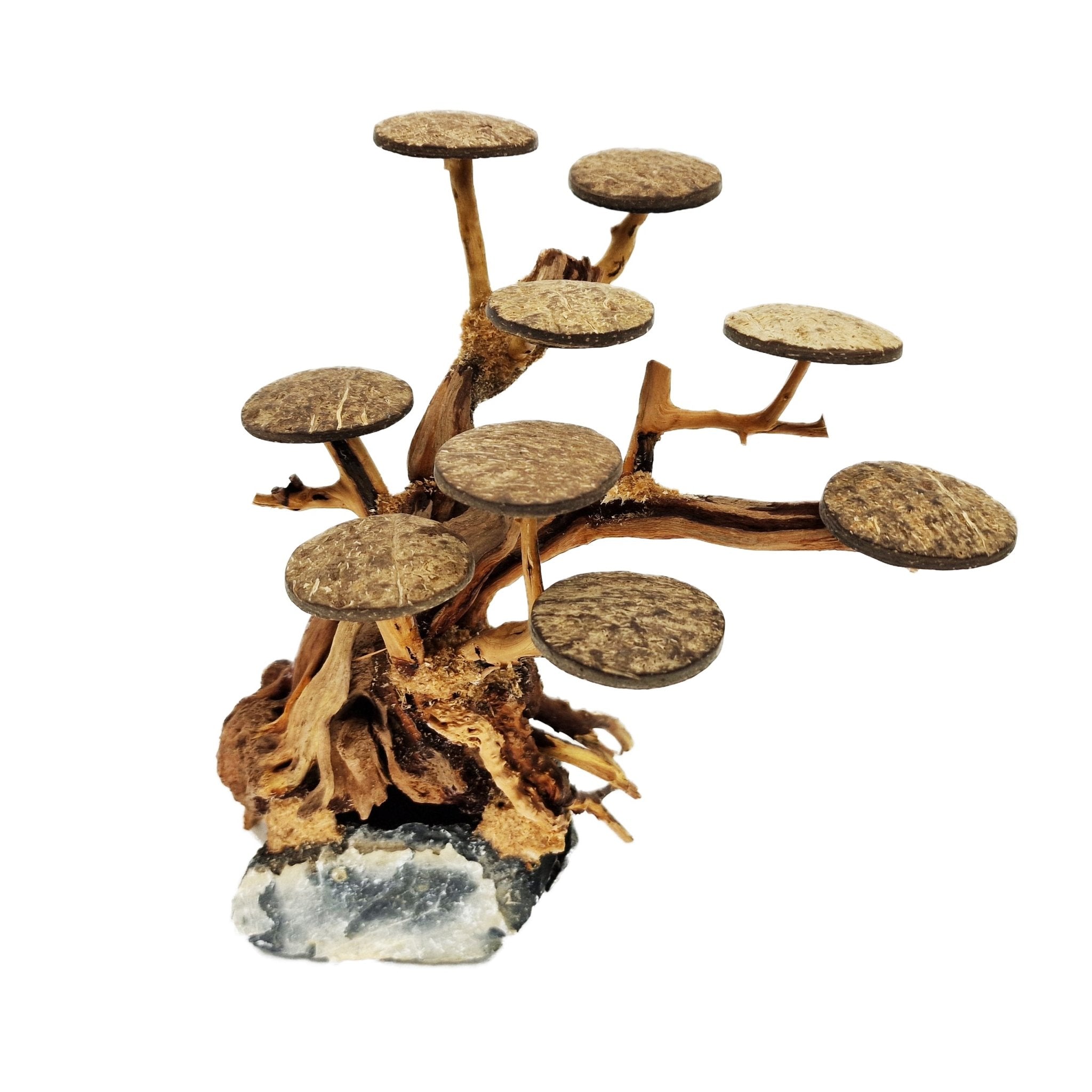 Aquarium Bonsai Tree ''Elm'' Driftwood - Medium - Castle Dawn Aquatics