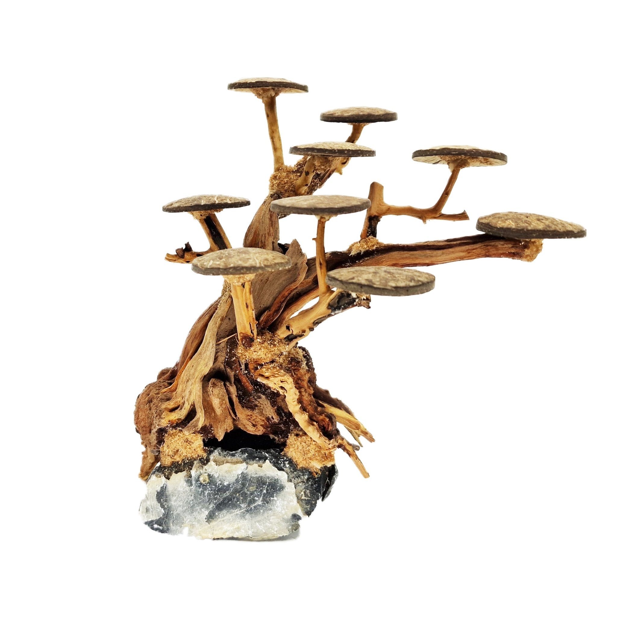 Home Aquarium Bonsai Tree ''Elm'' Driftwood - Medium