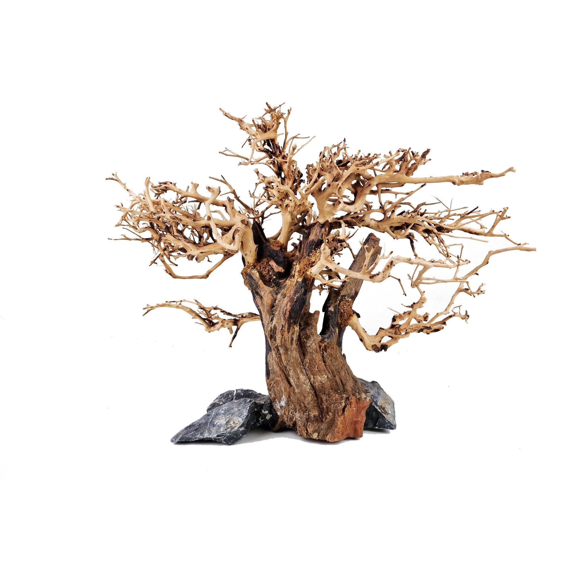 Aquarium Bonsai Tree ''Hinterland'' Driftwood - Large - Castle Dawn Aquatics