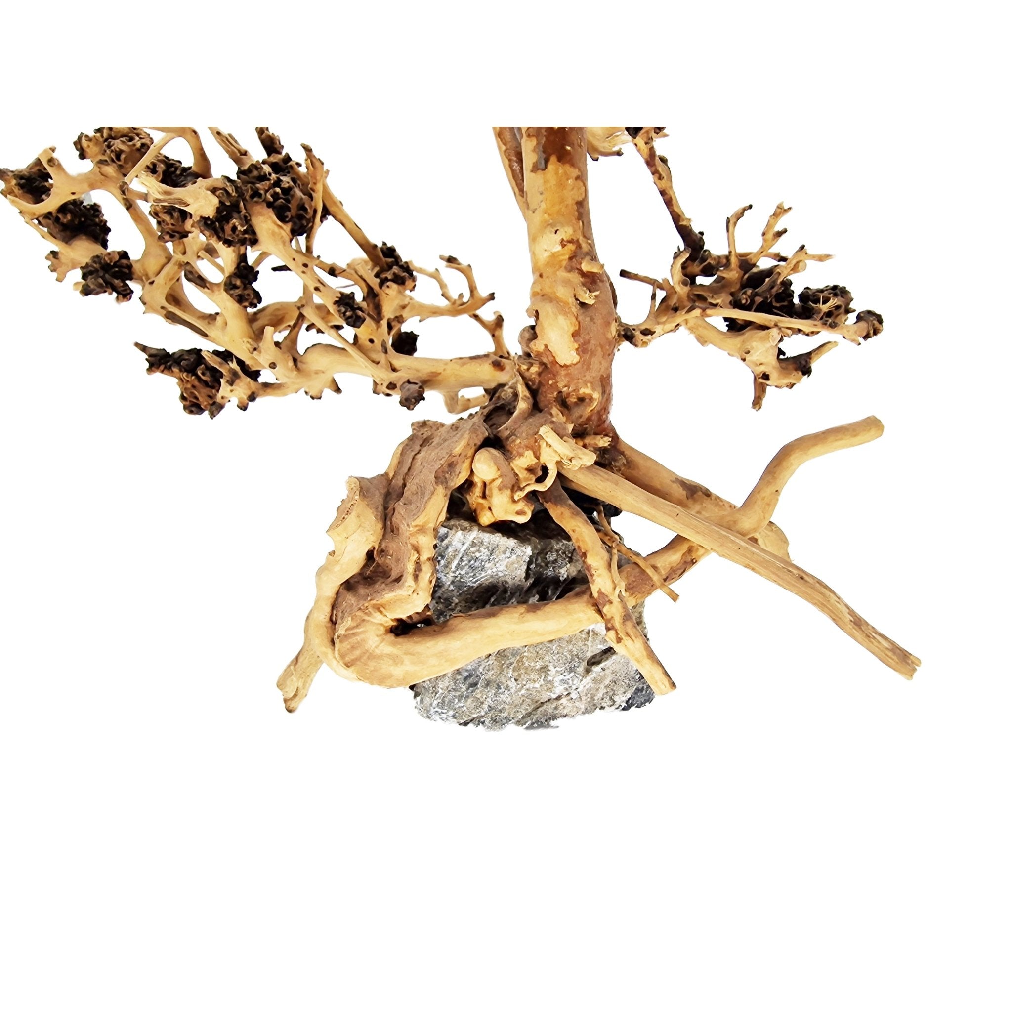 Aquarium Bonsai Tree ''Juniper'' Driftwood - Small - Castle Dawn Aquatics