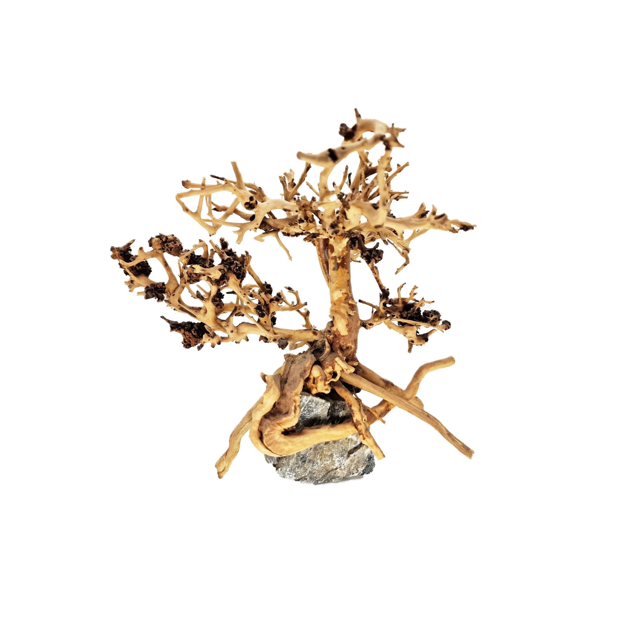 Mini Fish Tree WYSIWYG Hardscape- Aquarium Fish Tank Driftwood Bonsai Tree - Small ...