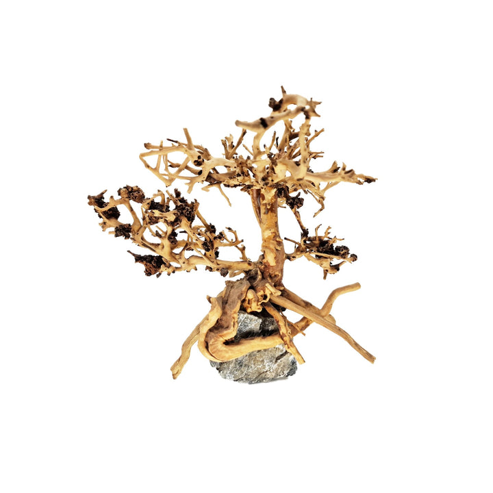 small aquarium bonsai tree Aquarium Bonsai Tree ''Juniper'' Driftwood - Small