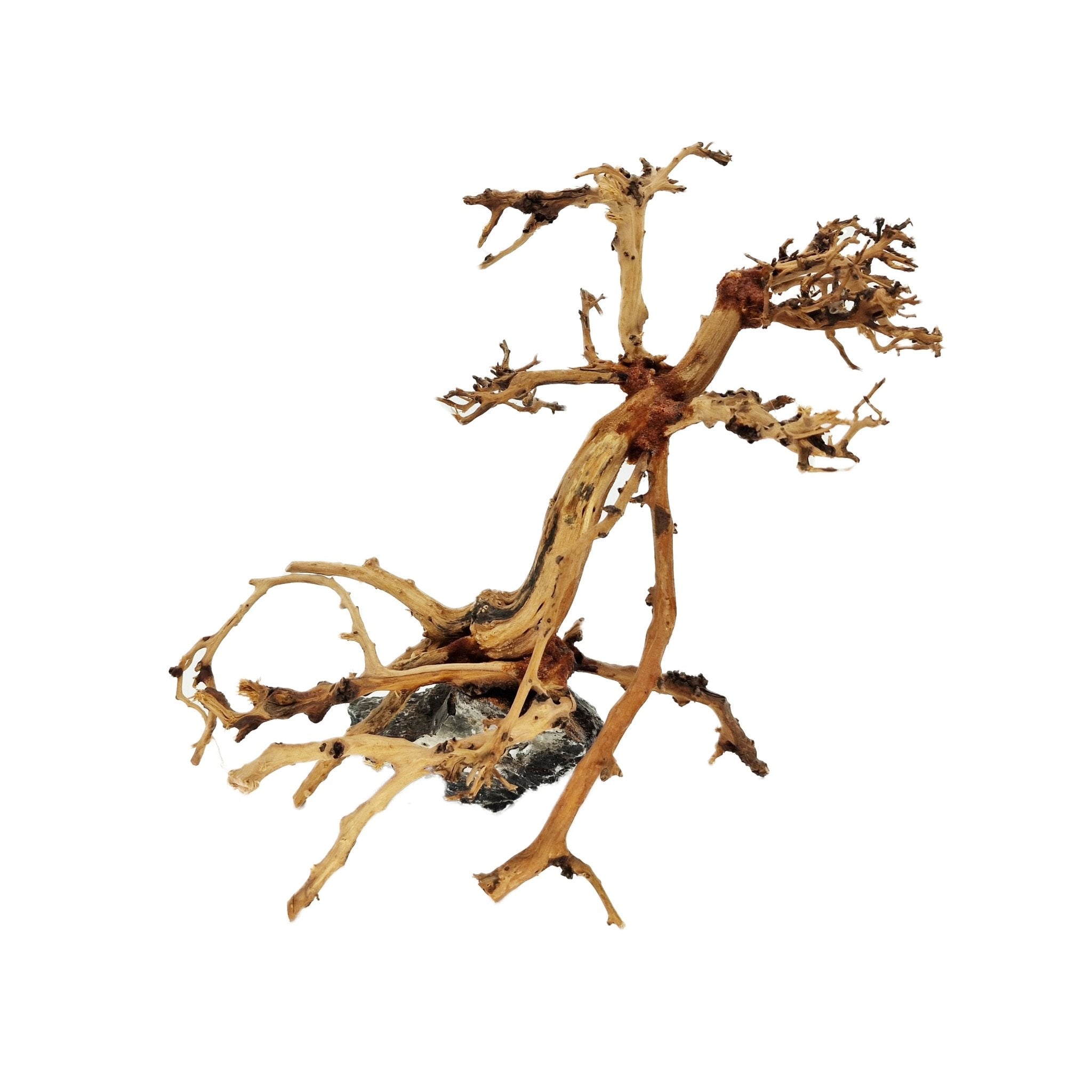 Aquarium Bonsai Tree ''Mirage'' Driftwood - Small - Castle Dawn Aquatics