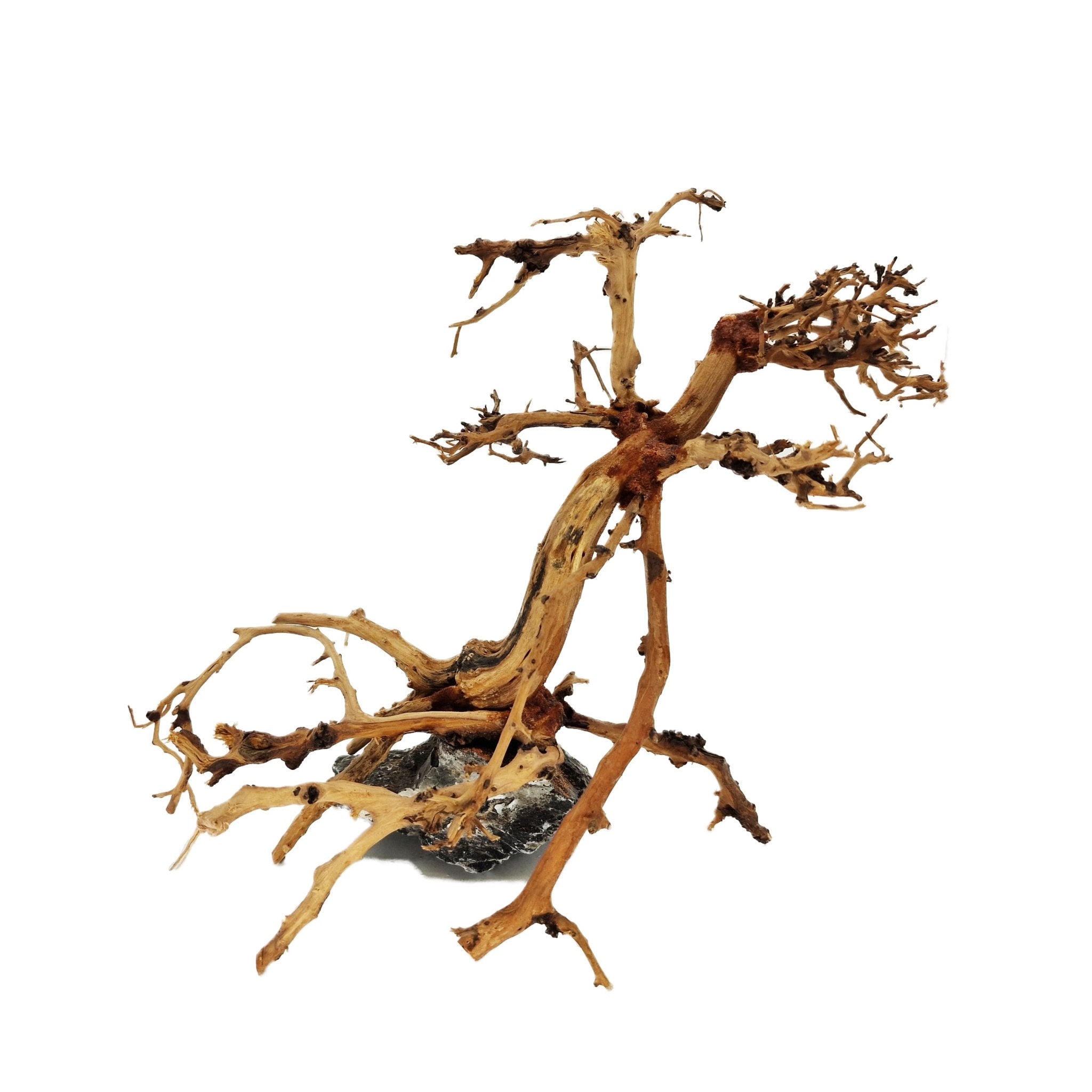 Aquarium Bonsai Tree ''Mirage'' Driftwood - Small - Castle Dawn Aquatics