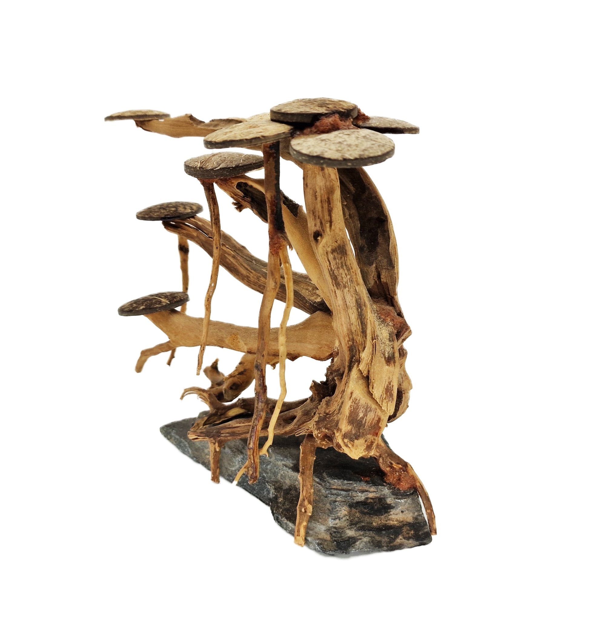 Aquarium Bonsai Tree ''No Mans Land'' Driftwood - Medium - Castle Dawn Aquatics