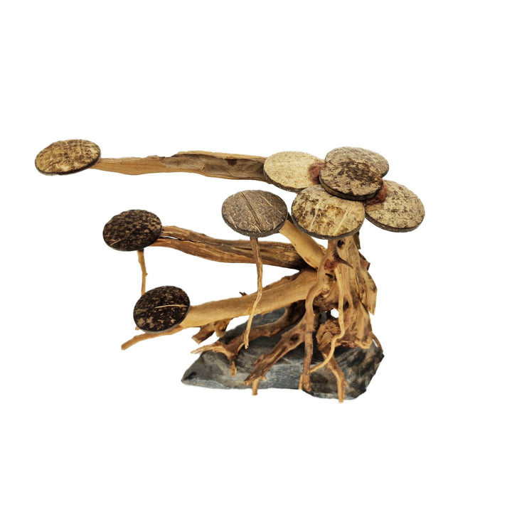 Aquarium Bonsai Tree ''No Mans Land'' Driftwood - Medium - Castle Dawn Aquatics