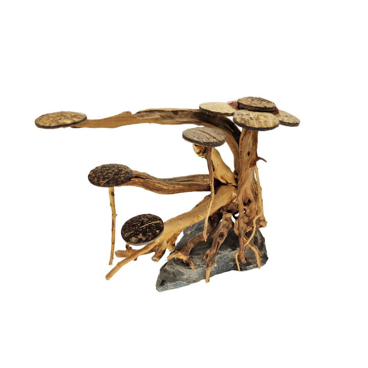 Aquarium Bonsai Tree ''No Mans Land'' Driftwood - Medium - Castle Dawn Aquatics