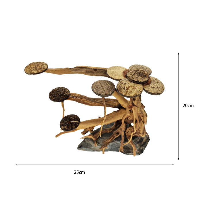 Aquarium Bonsai Tree ''No Mans Land'' Driftwood - Medium - Castle Dawn Aquatics