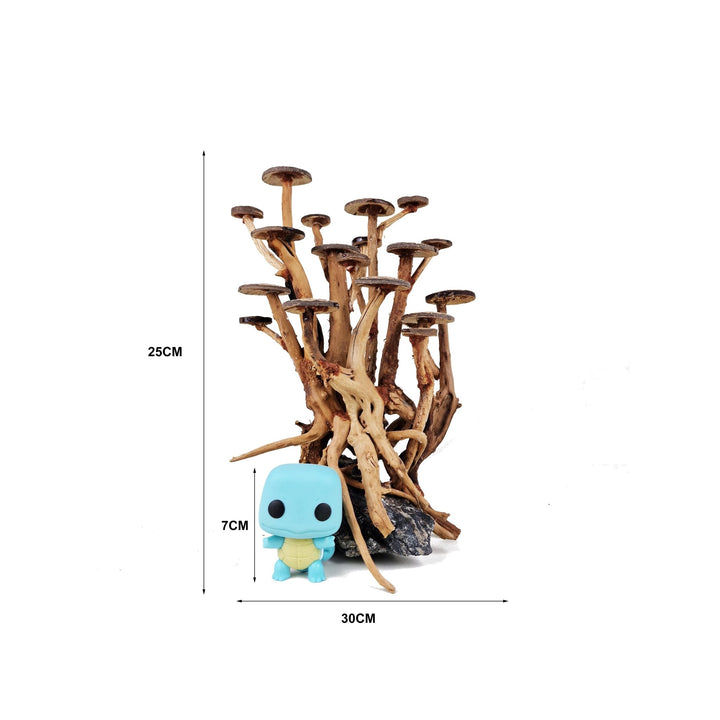 Aquarium Driftwood ''Acacia Moss Queen' Bonsai Tree - Medium - Castle Dawn Aquatics