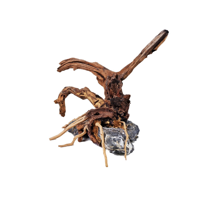 Aquarium Driftwood ''Sleepy Hollow'' Bonsai Tree - Large - Castle Dawn Aquatics