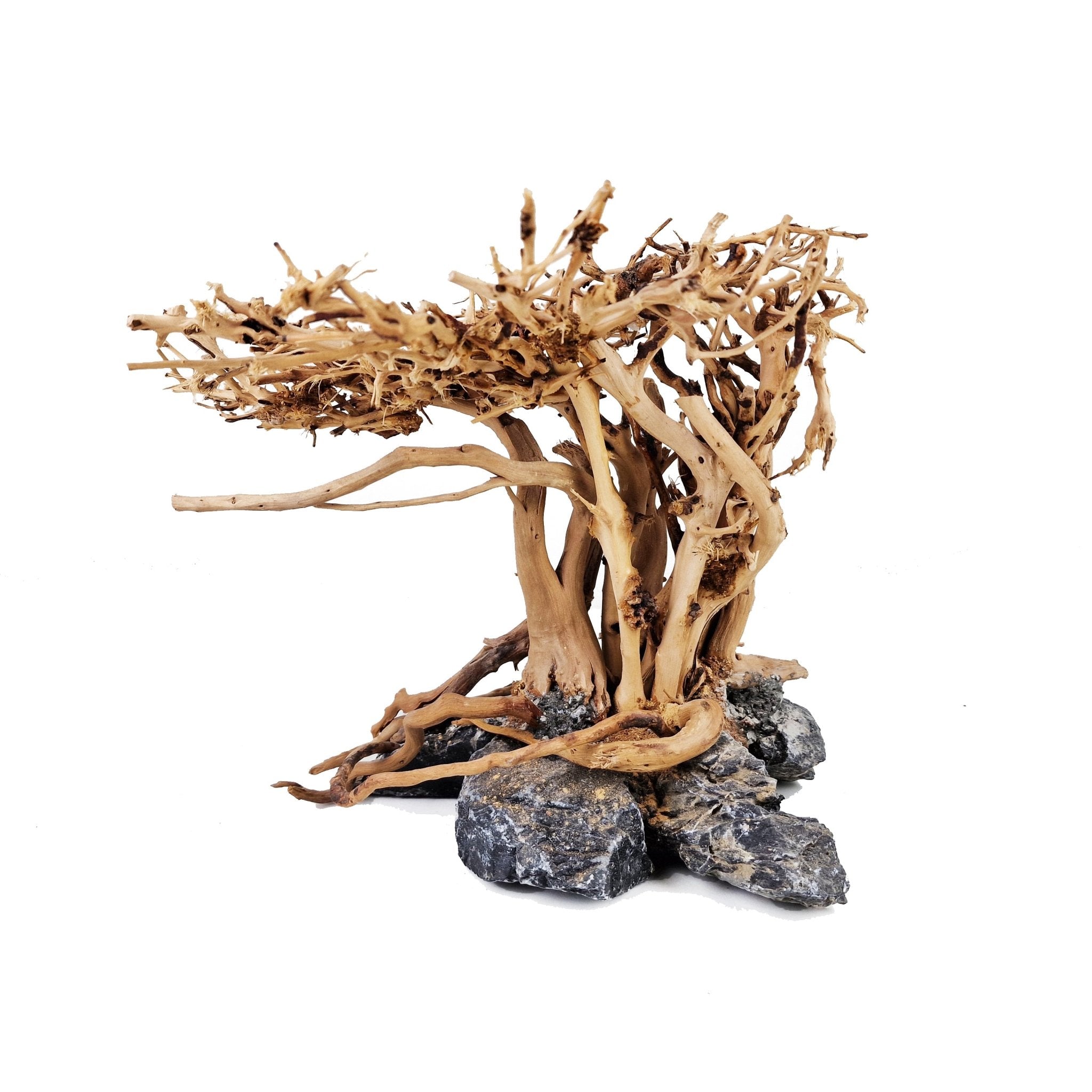Aquarium Driftwood ''Tree of Life'' Bonsai Tree - Medium - Castle Dawn Aquatics