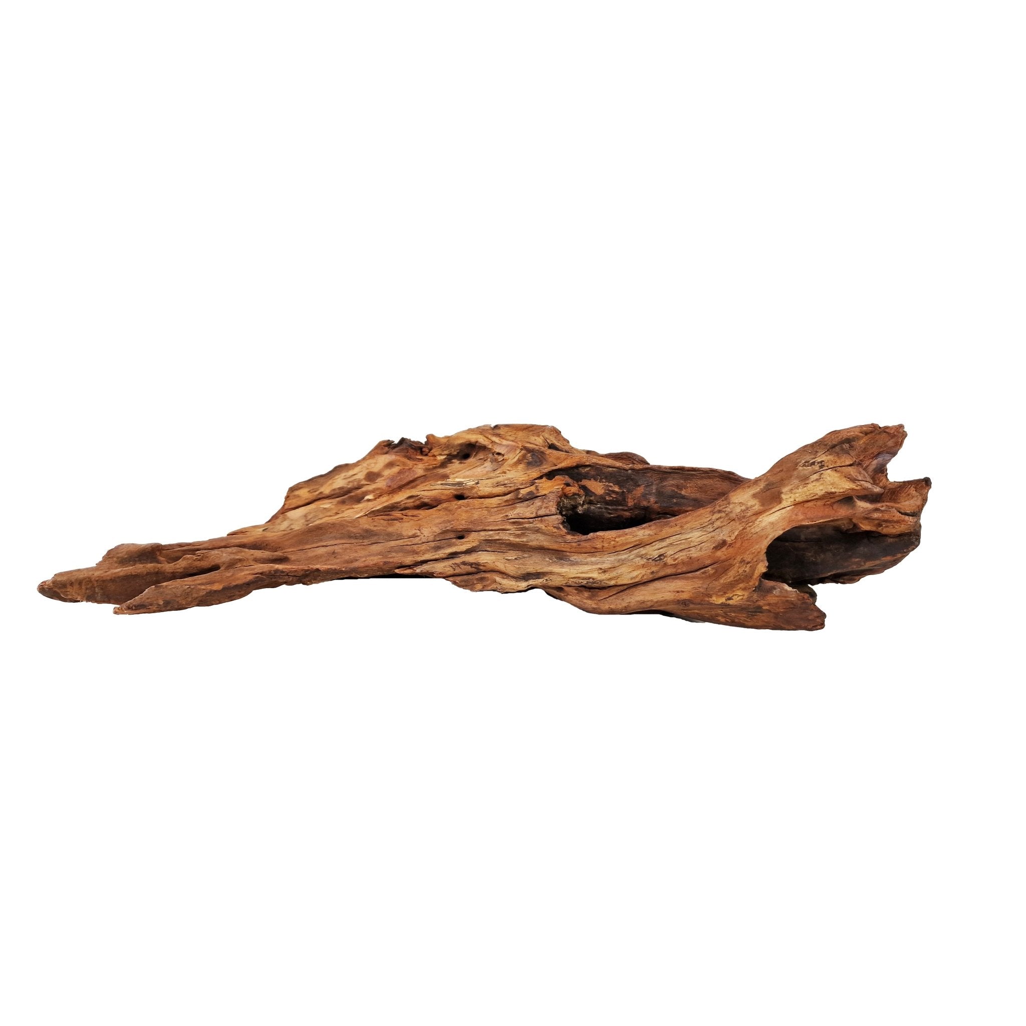 Aquarium Hand selected Driftwood ''Triceratops Cave' - Large - Castle Dawn Aquatics