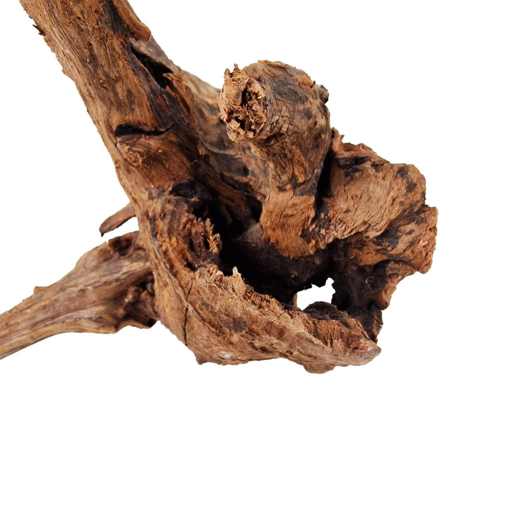 Aquarium Hand Selected Driftwood ''Viper' - Large - Castle Dawn Aquatics