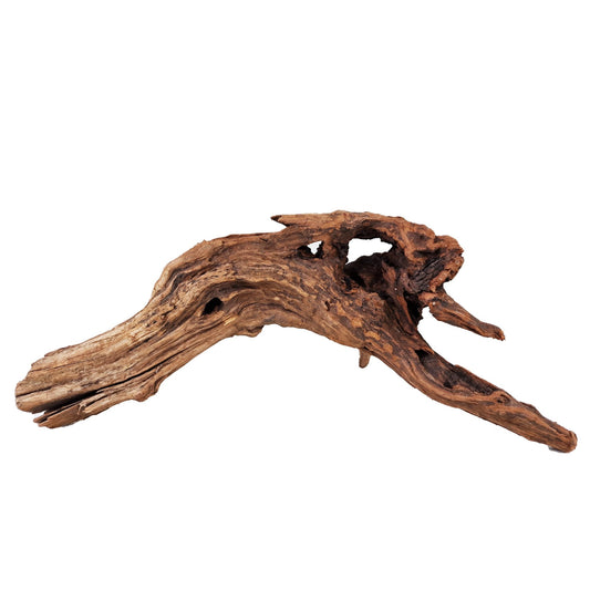 Aquarium Hand Selected Driftwood ''Viper' - Large - Castle Dawn Aquatics