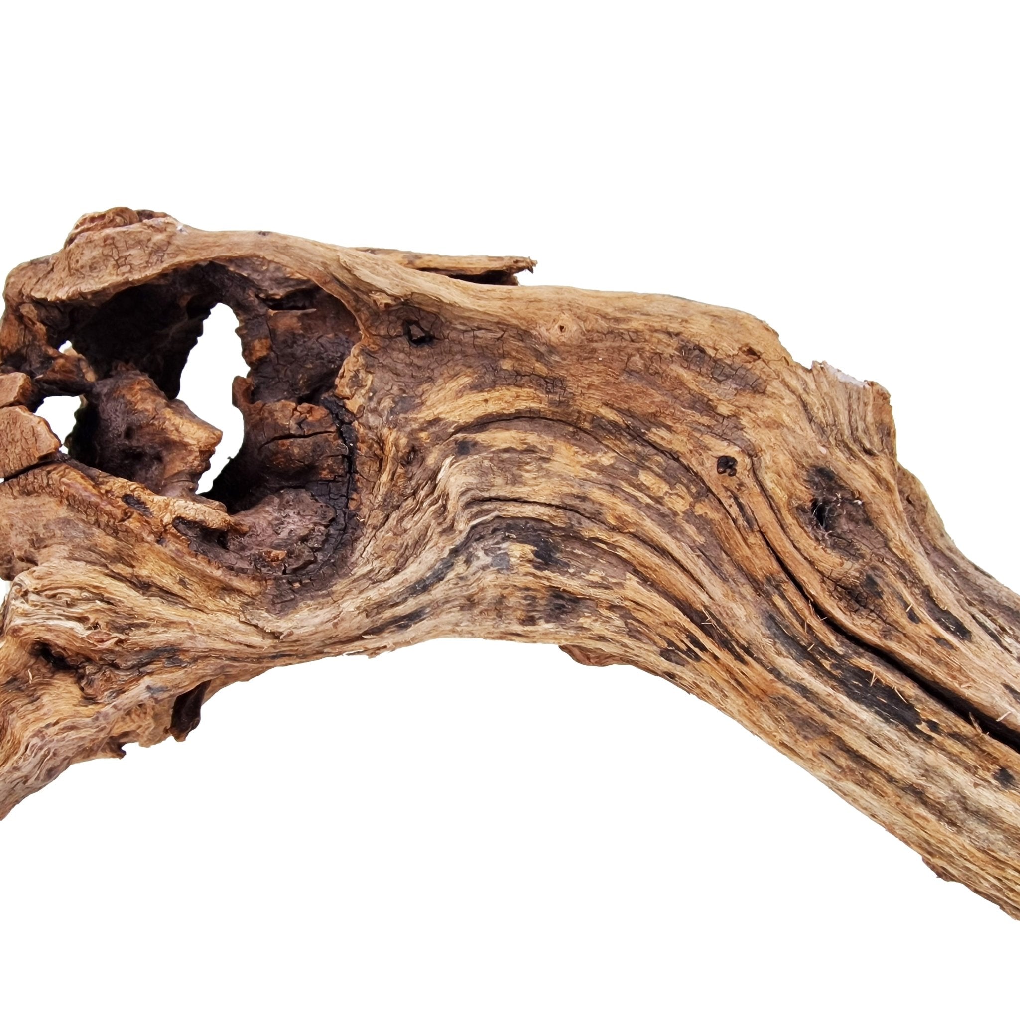 Aquarium Hand Selected Driftwood ''Viper' - Large - Castle Dawn Aquatics