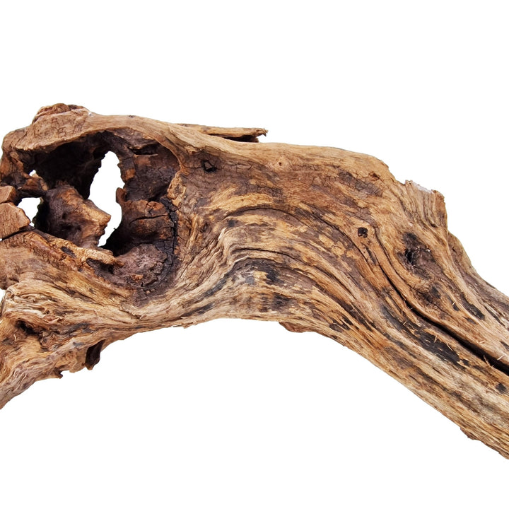 Aquarium Hand Selected Driftwood ''Viper' - Large - Castle Dawn Aquatics