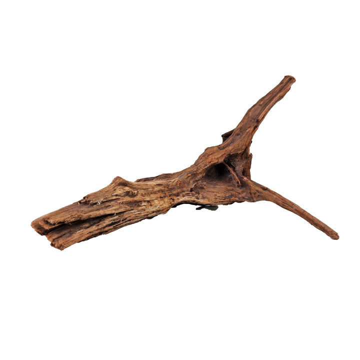 Aquarium Hand Selected Driftwood ''Viper' - Large - Castle Dawn Aquatics