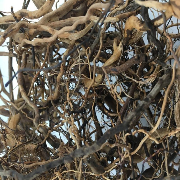 Bonsai Tree Accent Aquascaping Vine Roots - Castle Dawn AquaticsHardscape Materials