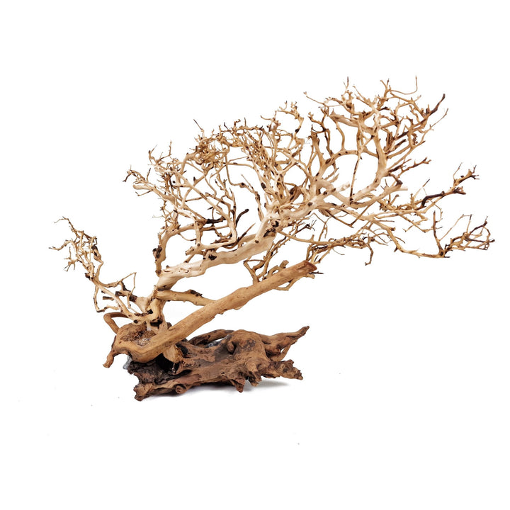 bonsai tree driftwood for aquarium Bonsai Tree ''Wind Swept'' Aquarium Driftwood - Extra Large