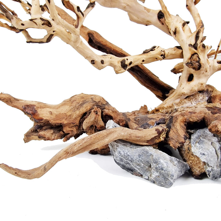 bonsai tree for aquarium for sale Bonsai Tree ''Wind Swept'' Aquarium Driftwood - Extra Large