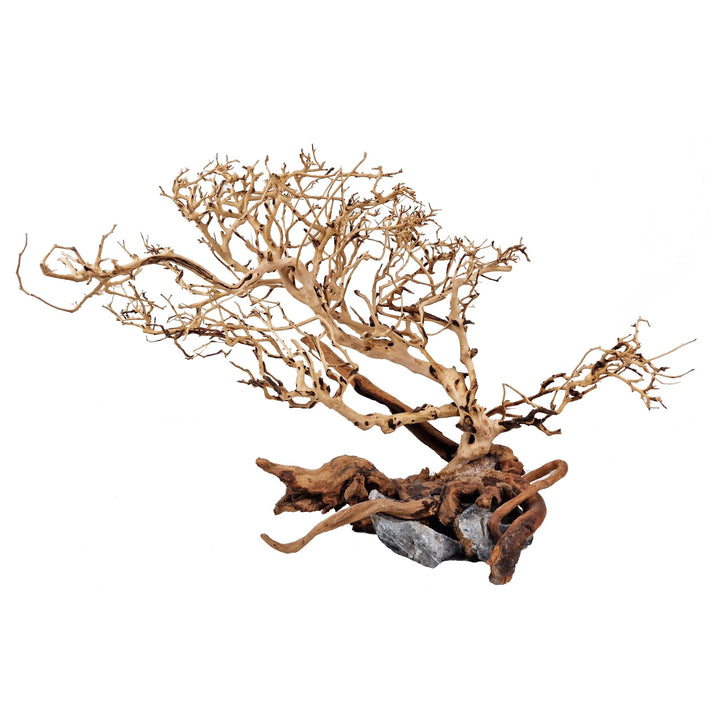 aquarium bonsai tree driftwood Bonsai Tree ''Wind Swept'' Aquarium Driftwood - Extra Large