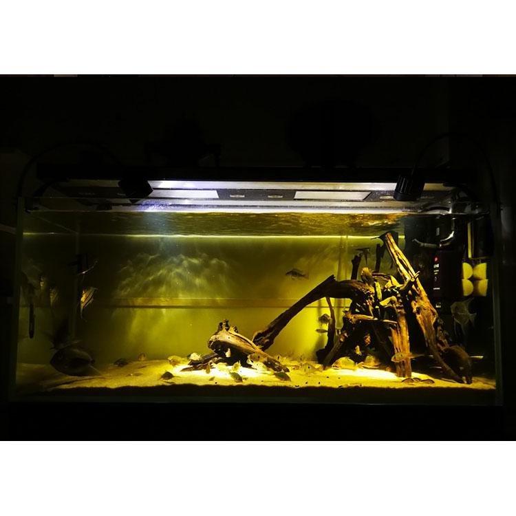 Castle Dawn Aquatics Dimmer Switch LED Aquarium Lighting Nano Fish Tank Light - Castle Dawn AquaticsLighting
