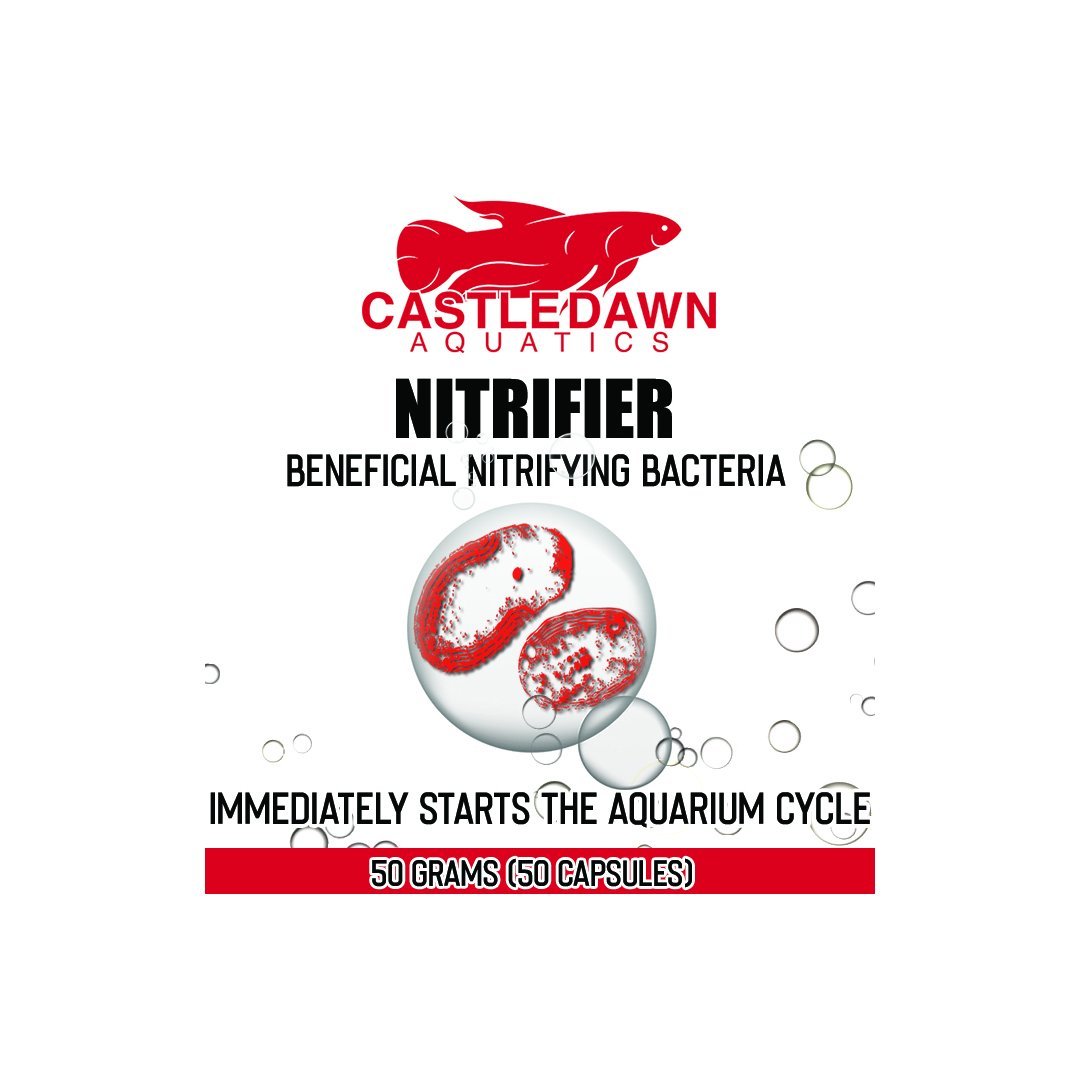 Castle Dawn Aquatics NITRIFIER Aquarium Live Nitrifying Bacteria 60 Capsules - Castle Dawn AquaticsWater Care