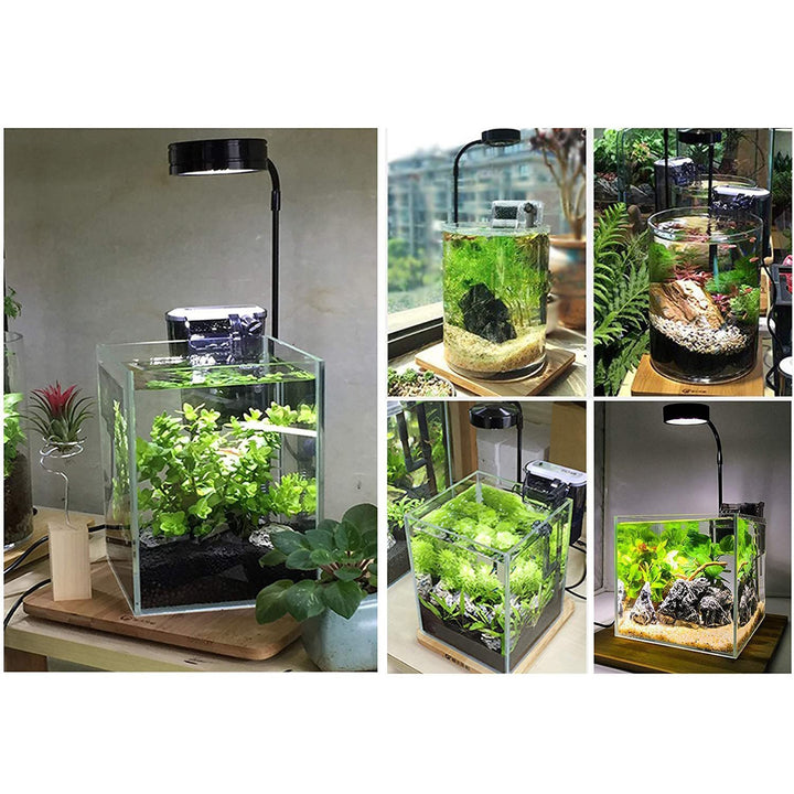 CDA Full Spectrum COB 7W LED Bamboo Board Nano Aquarium Light - Castle Dawn AquaticsLighting
