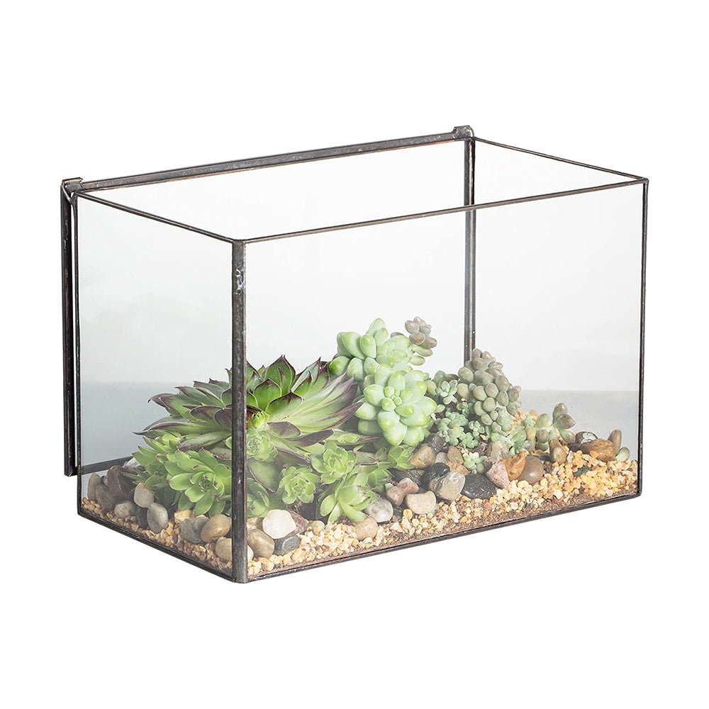 CDA Geometric Glass Box Terrarium With Lid - Castle Dawn Aquatics
