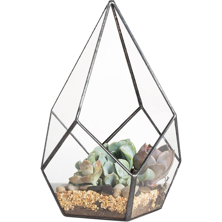 CDA Geometric Glass Open Diamond Terrarium - Castle Dawn Aquatics